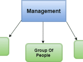 Introduction To Management