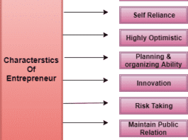 Characteristics Of Entrepreneur